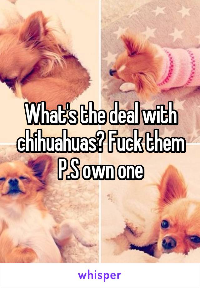 What's the deal with chihuahuas? Fuck them
P.S own one