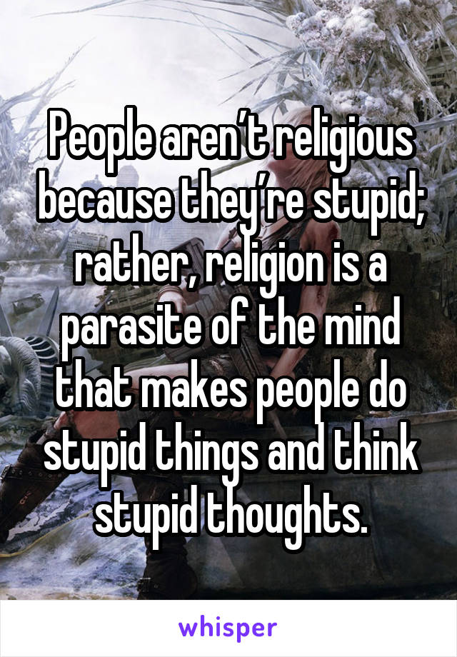 People aren’t religious because they’re stupid; rather, religion is a parasite of the mind that makes people do stupid things and think stupid thoughts.