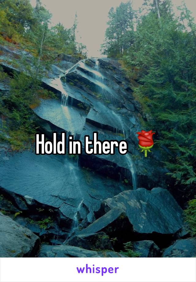 Hold in there 🌹