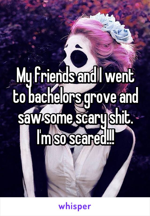 My friends and I went to bachelors grove and saw some scary shit. I'm so scared!!!