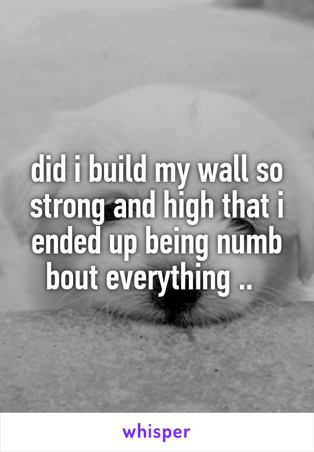 did i build my wall so strong and high that i ended up being numb bout everything ..  