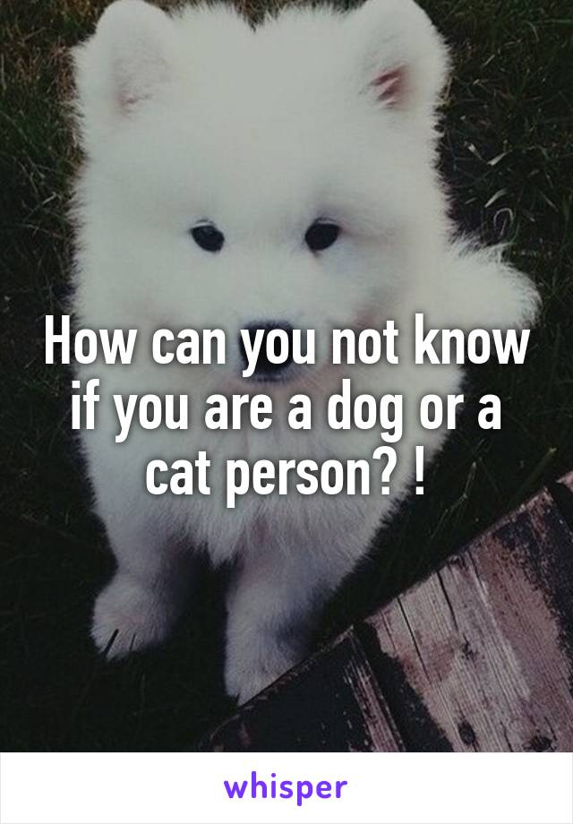 How can you not know if you are a dog or a cat person? !