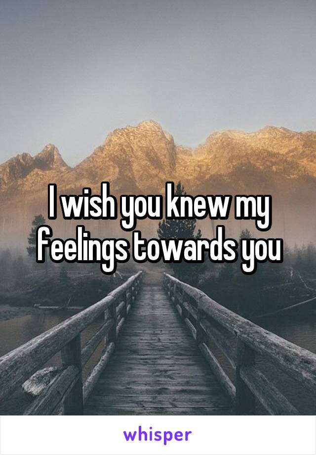 I wish you knew my feelings towards you