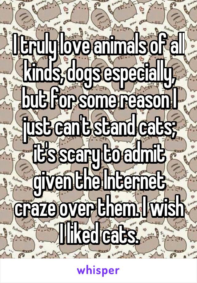 I truly love animals of all kinds, dogs especially, but for some reason I just can't stand cats; it's scary to admit given the Internet craze over them. I wish I liked cats.