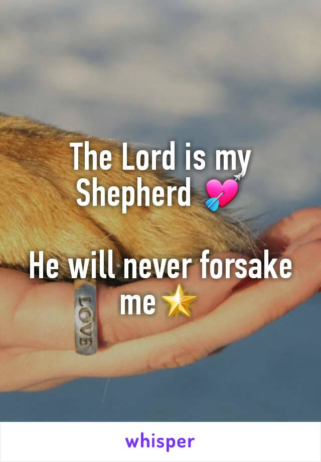 The Lord is my Shepherd 💘

He will never forsake me🌟