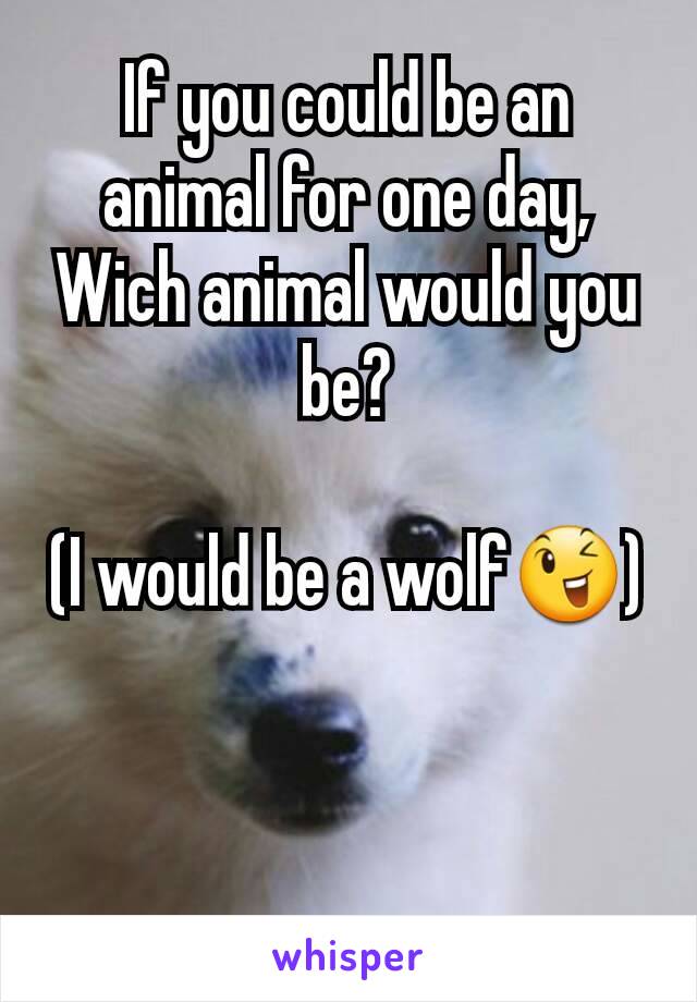 If you could be an animal for one day,
Wich animal would you be?

(I would be a wolf😉)