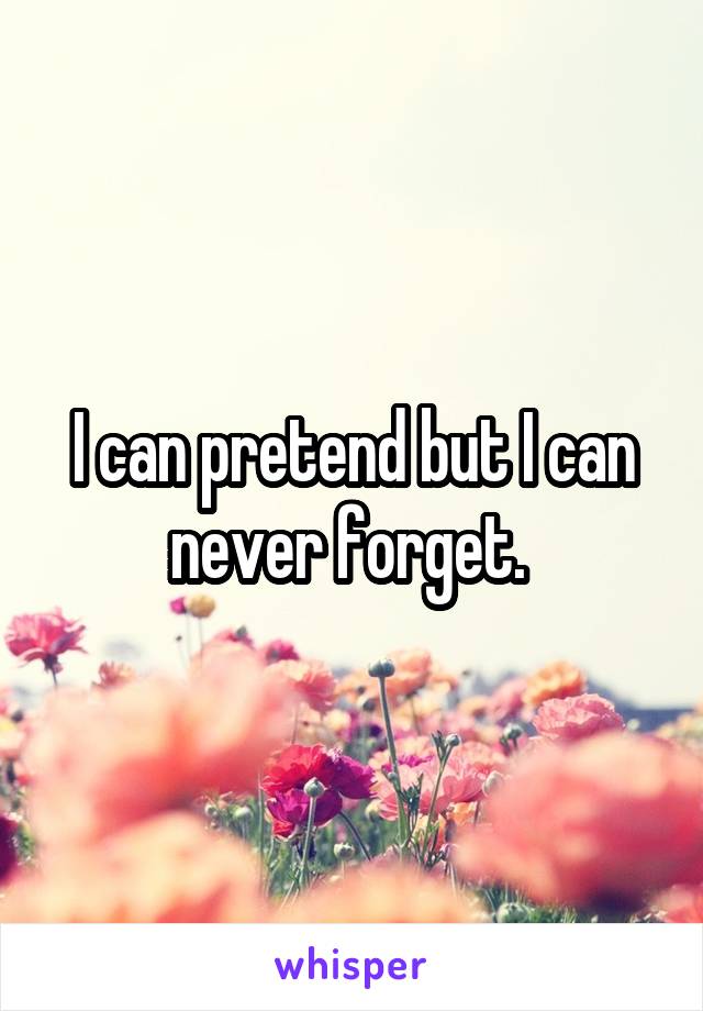 I can pretend but I can never forget. 