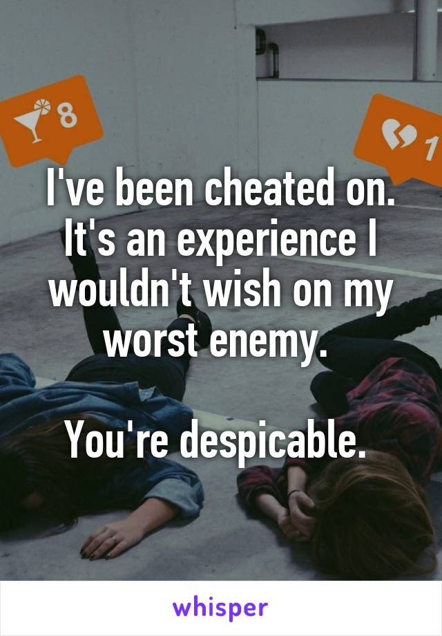 I've been cheated on. It's an experience I wouldn't wish on my worst enemy. 

You're despicable. 