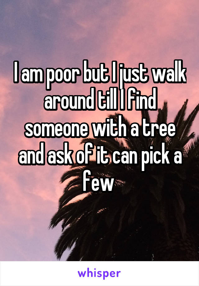 I am poor but I just walk around till I find someone with a tree and ask of it can pick a few 
