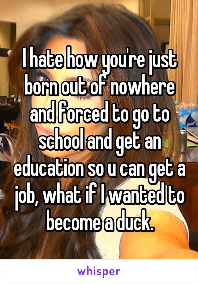 I hate how you're just born out of nowhere and forced to go to school and get an education so u can get a job, what if I wanted to become a duck.