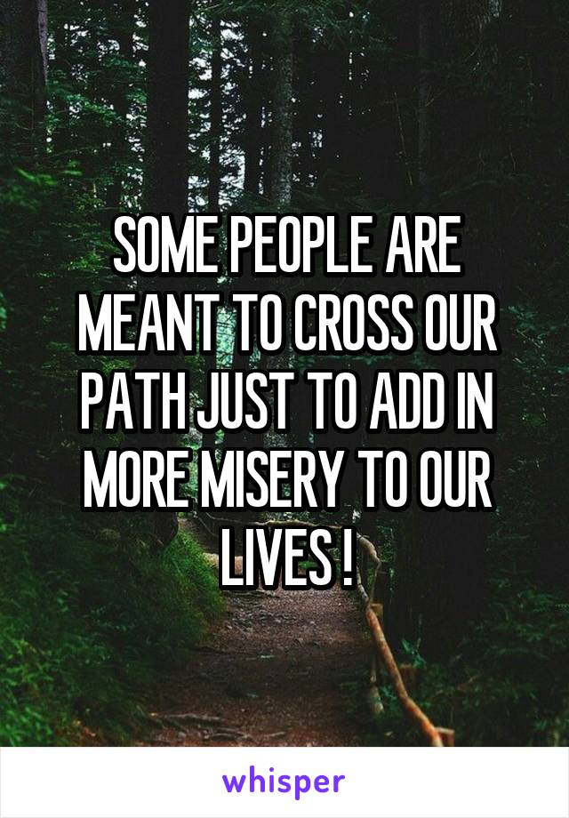 SOME PEOPLE ARE MEANT TO CROSS OUR PATH JUST TO ADD IN MORE MISERY TO OUR LIVES !