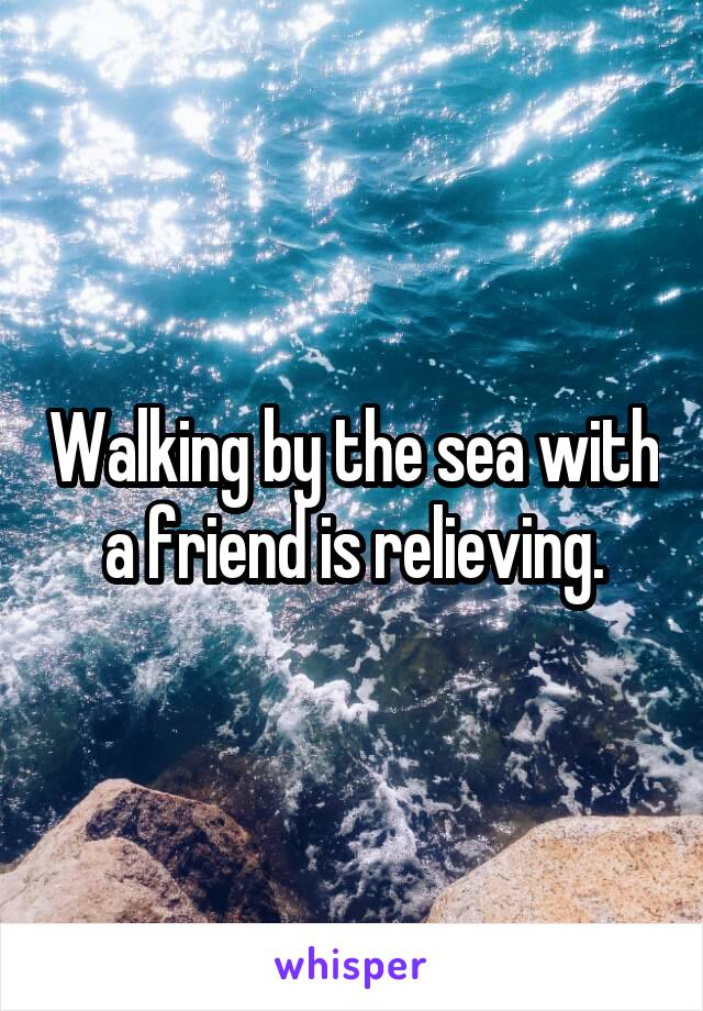 Walking by the sea with a friend is relieving.