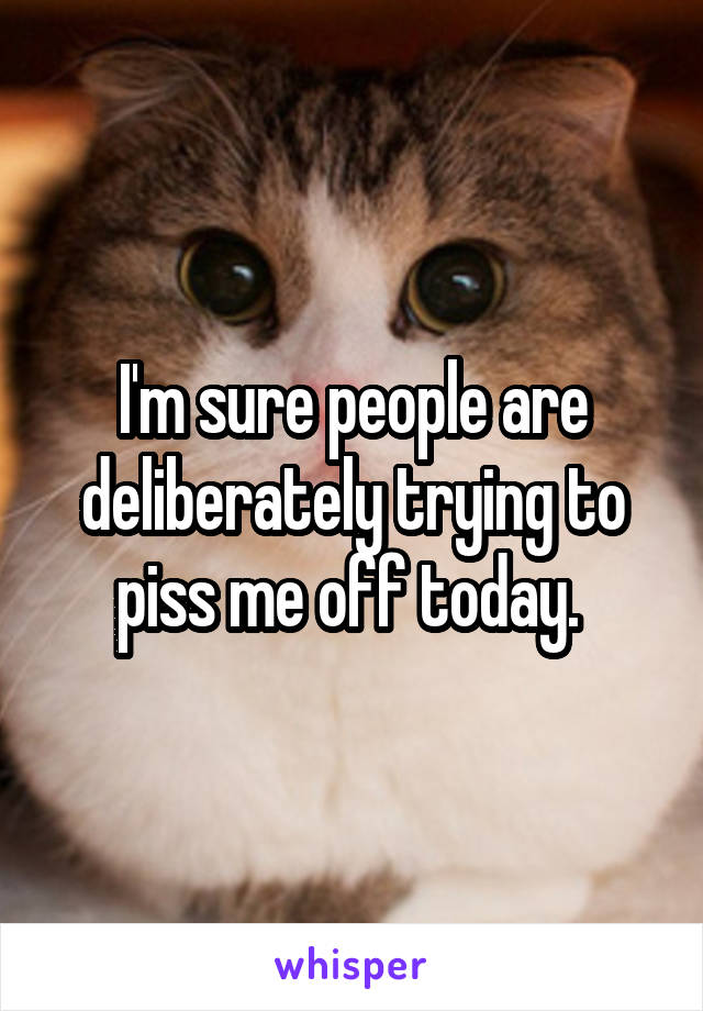 I'm sure people are deliberately trying to piss me off today. 