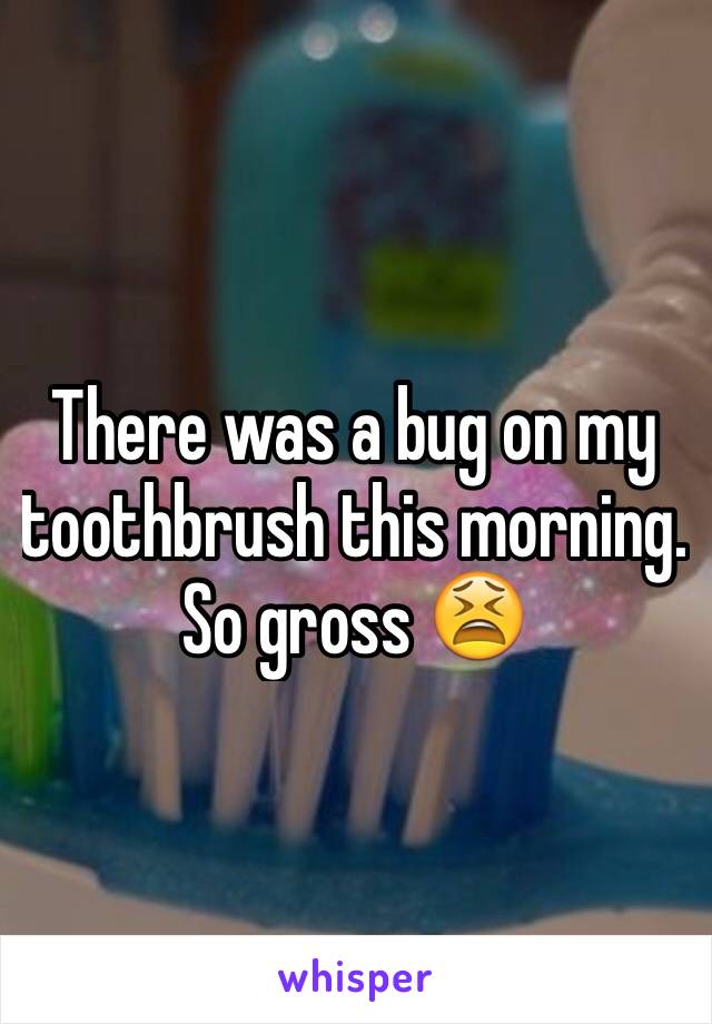 There was a bug on my toothbrush this morning. So gross 😫