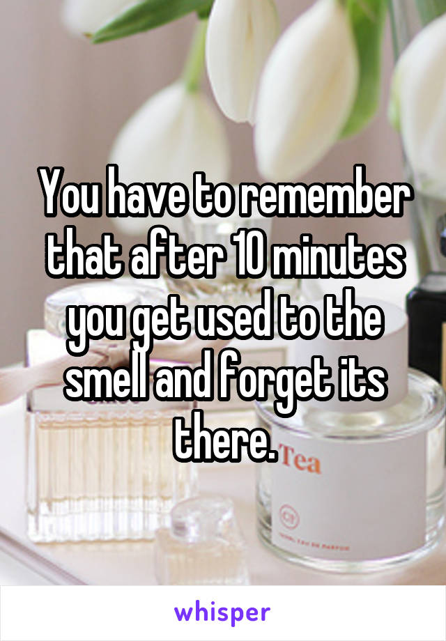 You have to remember that after 10 minutes you get used to the smell and forget its there.