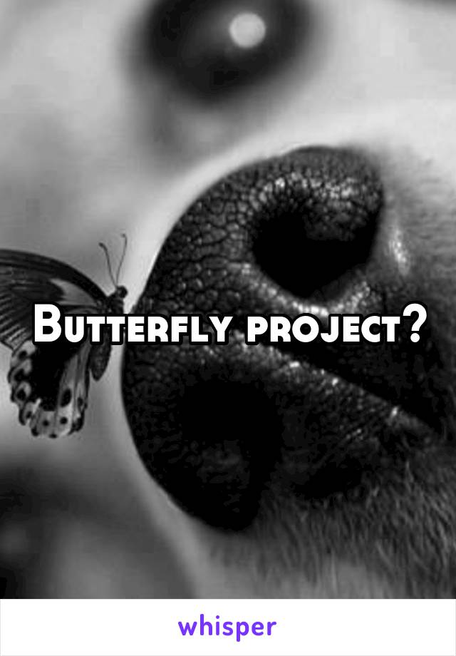 Butterfly project?