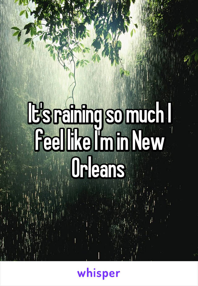 It's raining so much I feel like I'm in New Orleans 