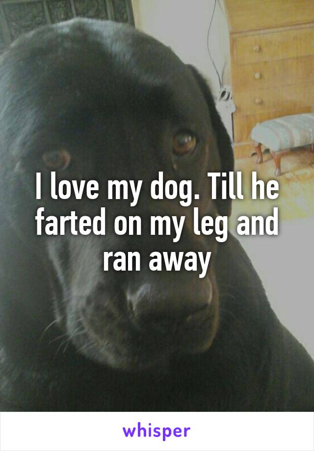 I love my dog. Till he farted on my leg and ran away