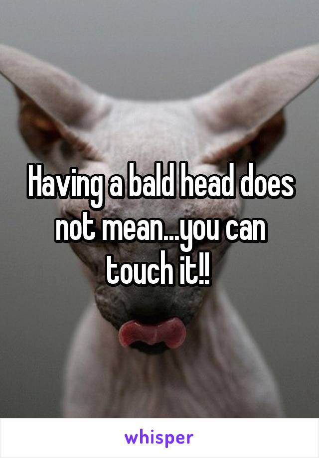 Having a bald head does not mean...you can touch it!! 