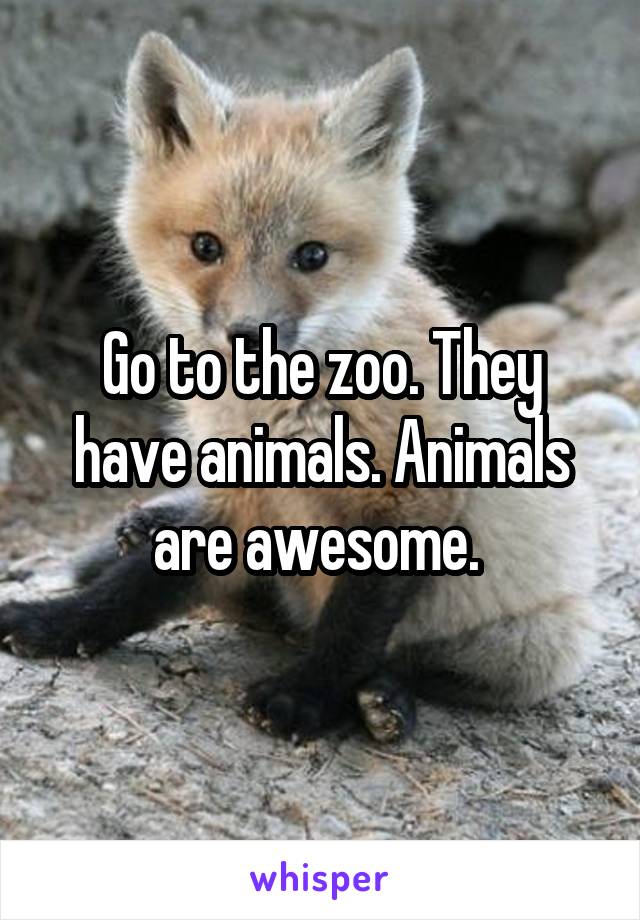 Go to the zoo. They have animals. Animals are awesome. 