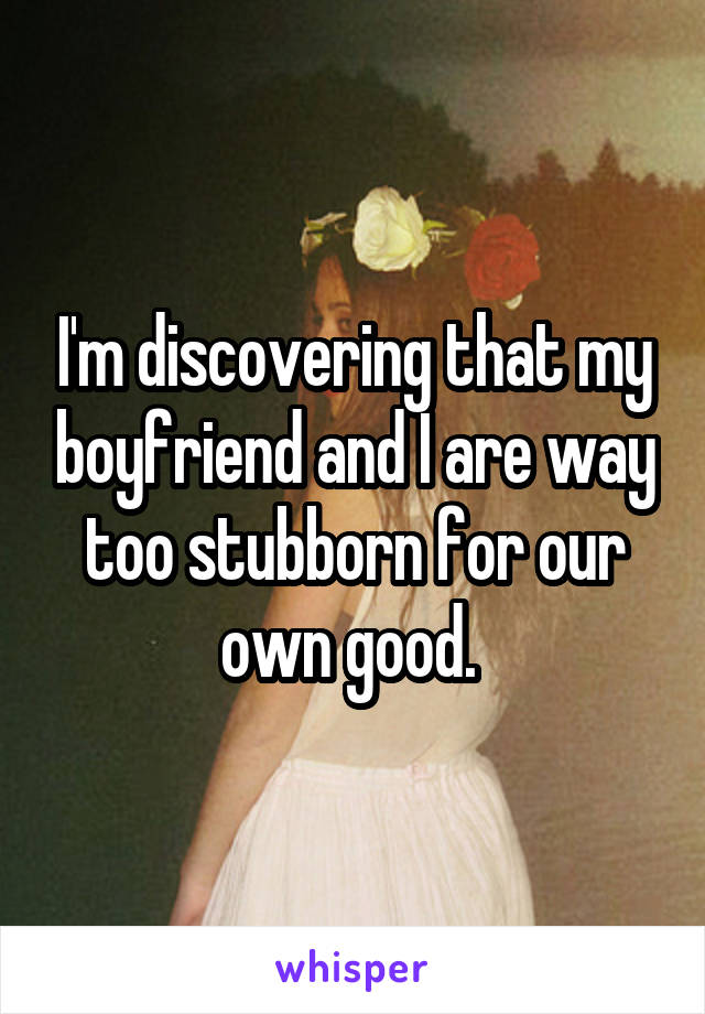 I'm discovering that my boyfriend and I are way too stubborn for our own good. 