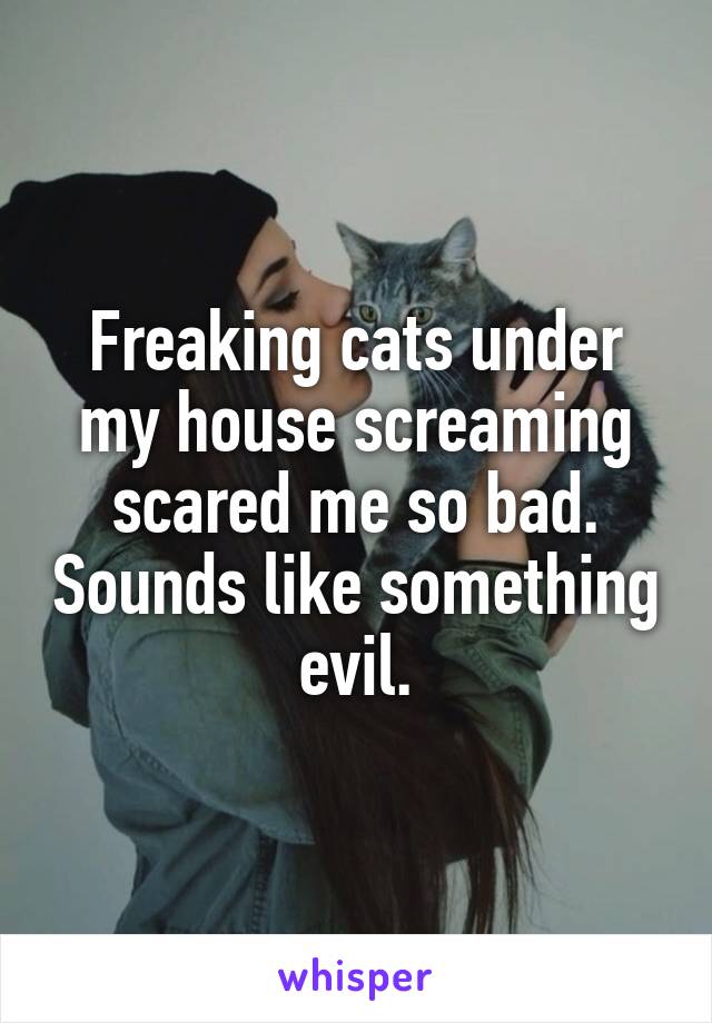 Freaking cats under my house screaming scared me so bad. Sounds like something evil.