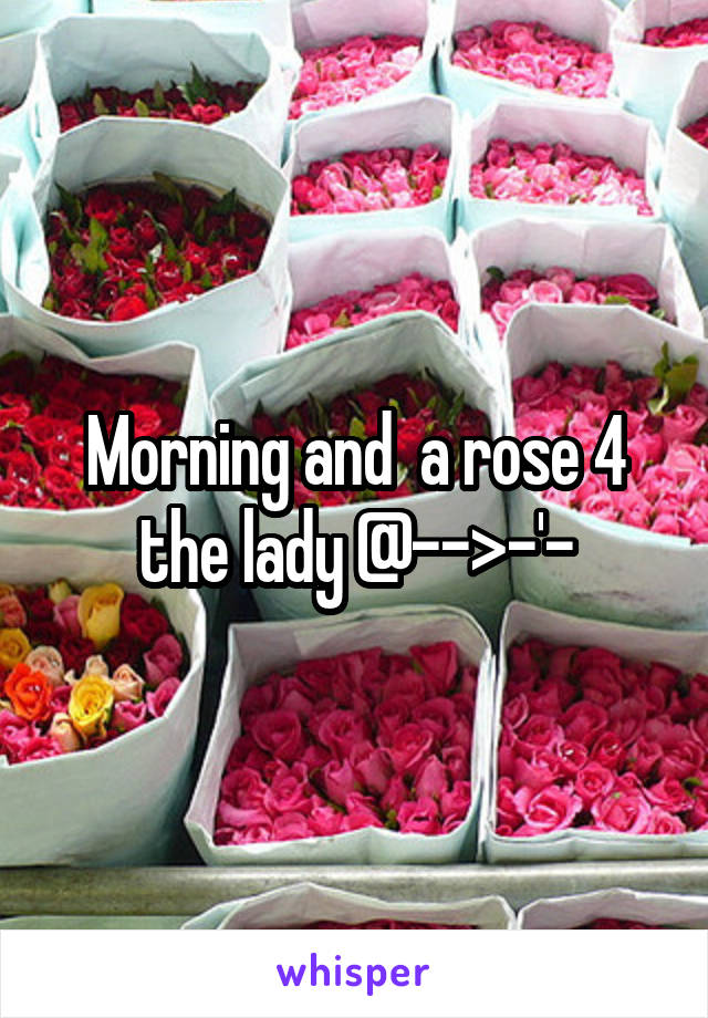 Morning and  a rose 4 the lady @-->-'-