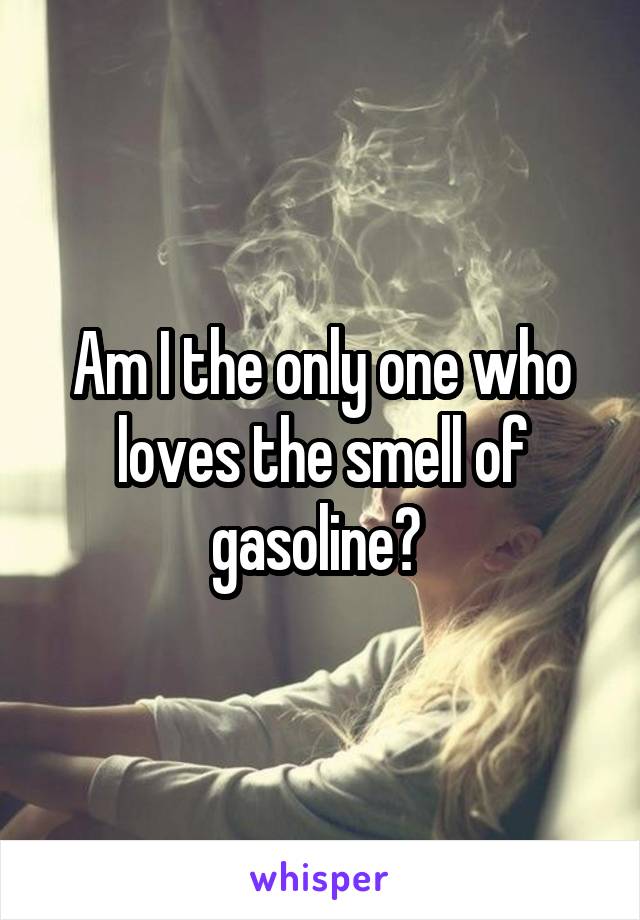 Am I the only one who loves the smell of gasoline? 