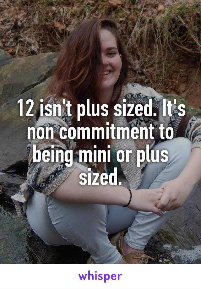 12 isn't plus sized. It's non commitment to being mini or plus sized.