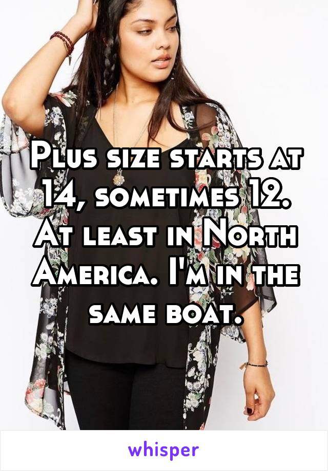 Plus size starts at 14, sometimes 12. At least in North America. I'm in the same boat.