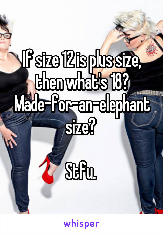 If size 12 is plus size, then what's 18? Made-for-an-elephant size? 

Stfu. 