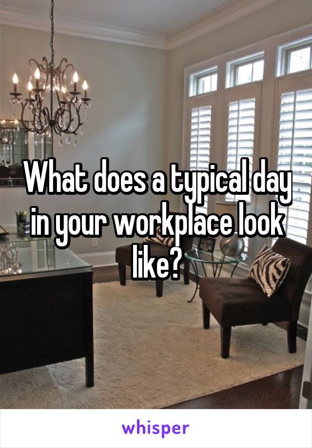 What does a typical day in your workplace look like?