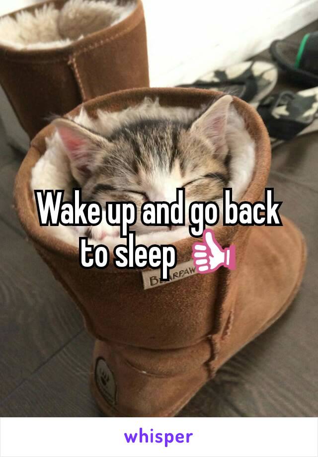 Wake up and go back to sleep 👍