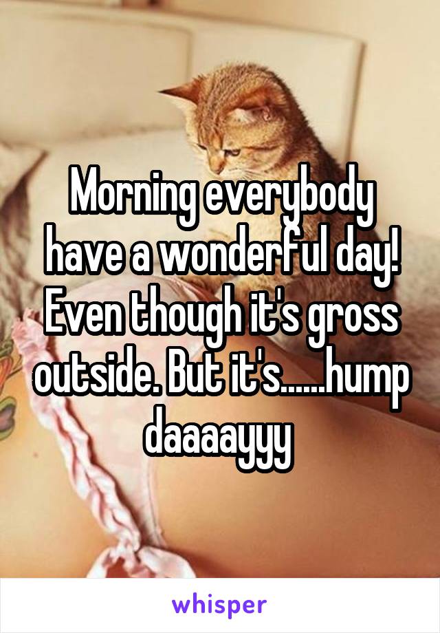 Morning everybody have a wonderful day! Even though it's gross outside. But it's......hump daaaayyy 