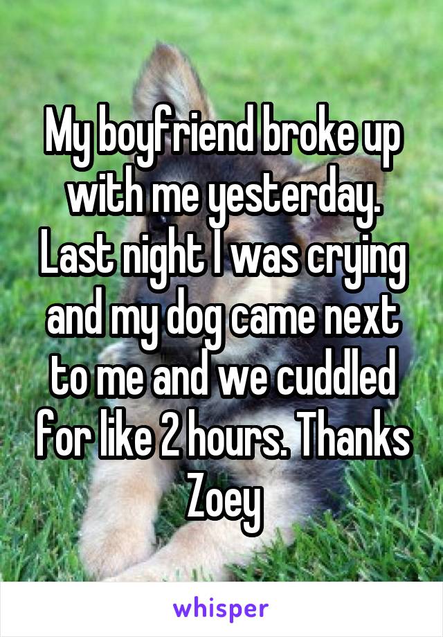 My boyfriend broke up with me yesterday. Last night I was crying and my dog came next to me and we cuddled for like 2 hours. Thanks Zoey