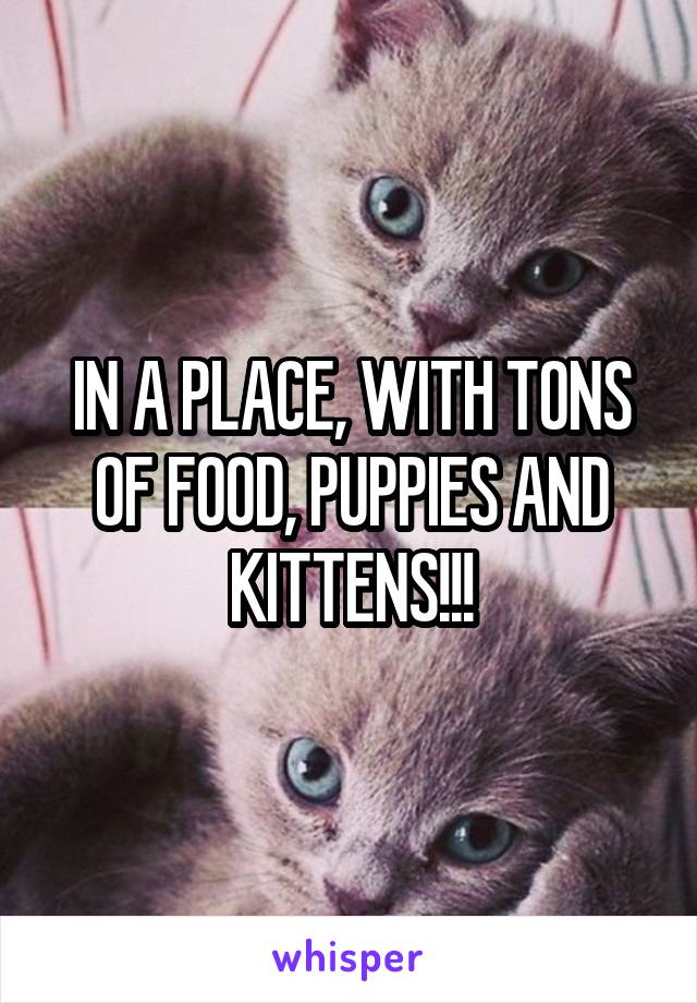 IN A PLACE, WITH TONS OF FOOD, PUPPIES AND KITTENS!!!