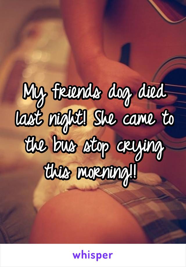 My friends dog died last night! She came to the bus stop crying this morning!! 