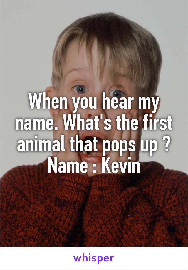 When you hear my name. What's the first animal that pops up ?
Name : Kevin