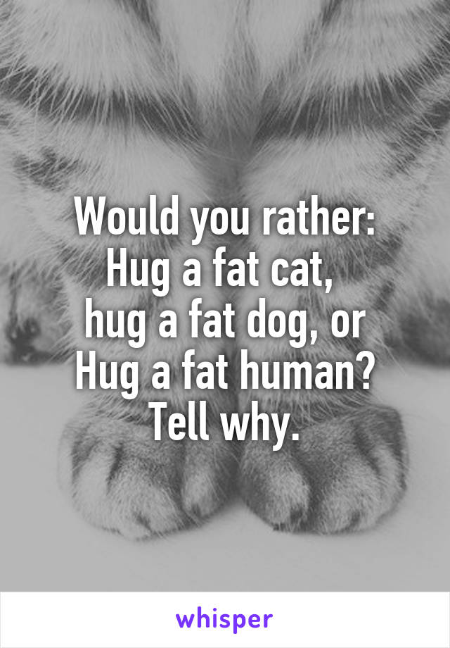 Would you rather:
Hug a fat cat, 
hug a fat dog, or
Hug a fat human?
Tell why.