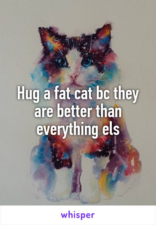 Hug a fat cat bc they are better than everything els