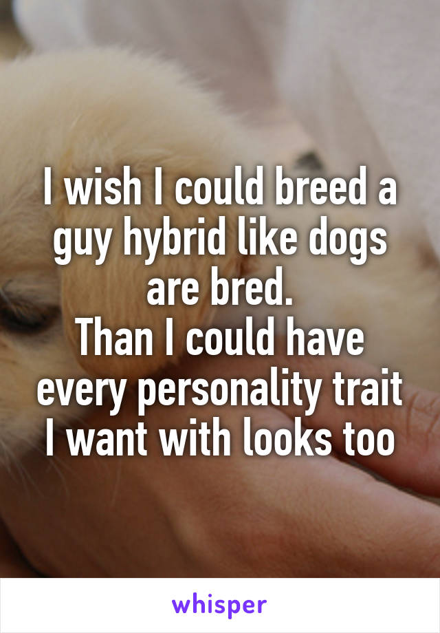 I wish I could breed a guy hybrid like dogs are bred.
Than I could have every personality trait I want with looks too