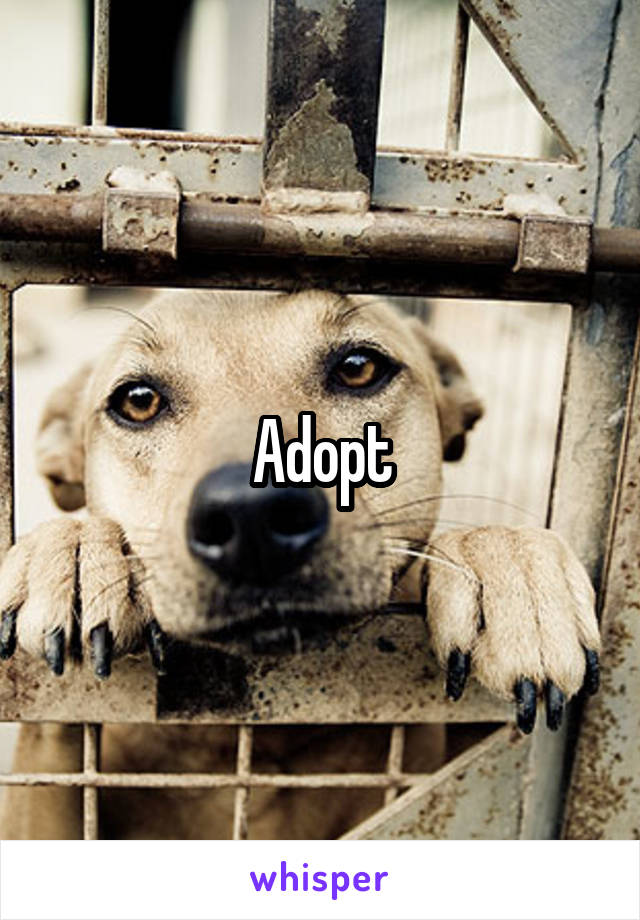 Adopt