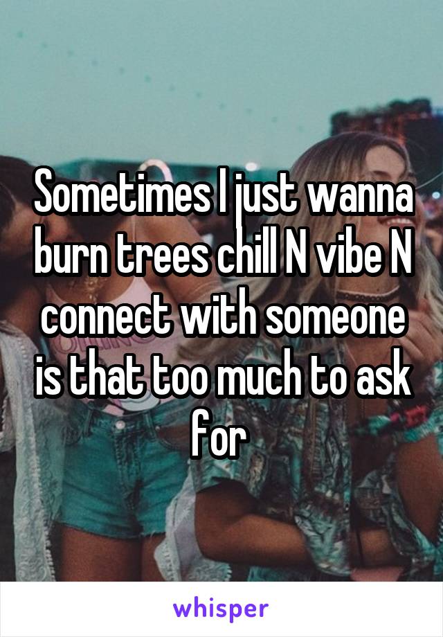 Sometimes I just wanna burn trees chill N vibe N connect with someone is that too much to ask for 