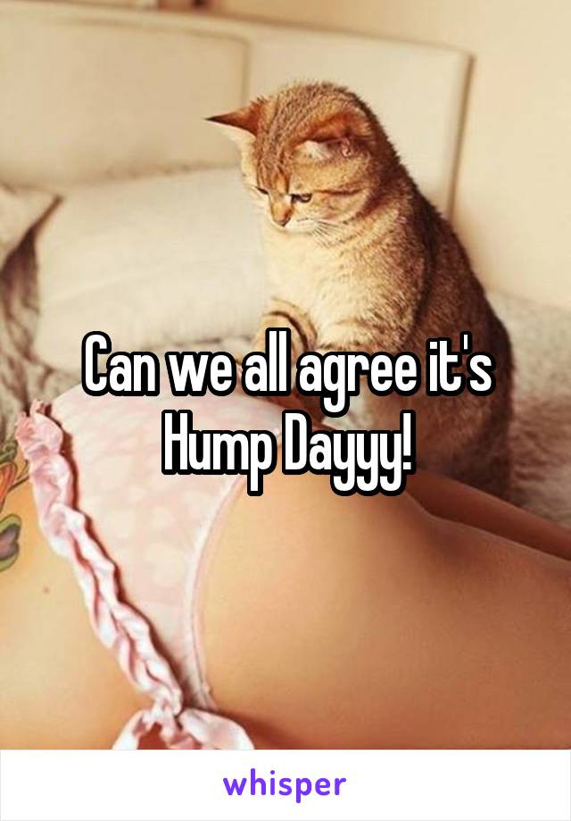 Can we all agree it's Hump Dayyy!