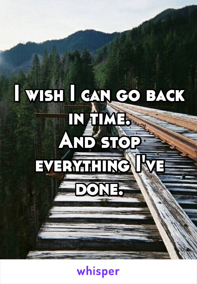 I wish I can go back in time.
And stop everything I've done.