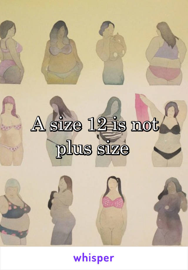 A size 12 is not plus size 