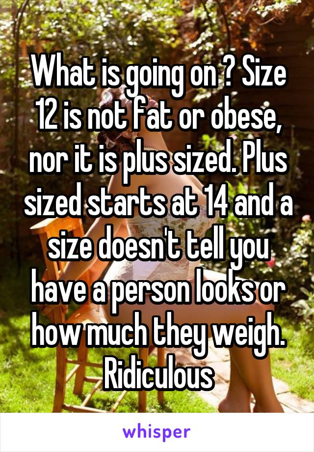 What is going on ? Size 12 is not fat or obese, nor it is plus sized. Plus sized starts at 14 and a size doesn't tell you have a person looks or how much they weigh. Ridiculous