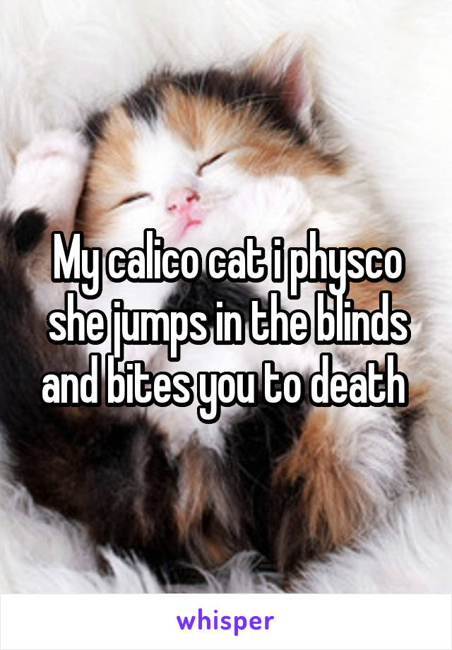 My calico cat i physco she jumps in the blinds and bites you to death 