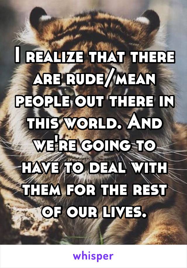 I realize that there are rude/mean people out there in this world. And we're going to have to deal with them for the rest of our lives.