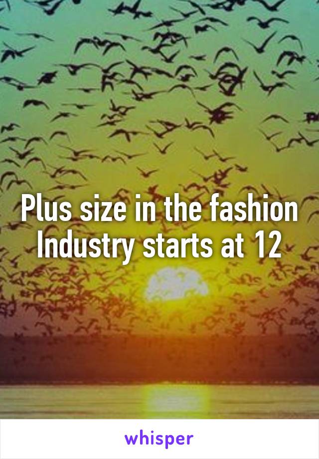 Plus size in the fashion Industry starts at 12